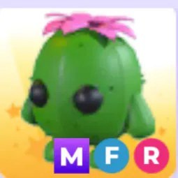 MFR Cactus Friend
