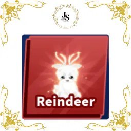 Reindeer