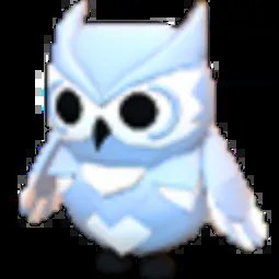 MFR Snow Owl
