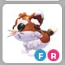 FR Munchkin Cat