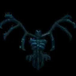 Skelly