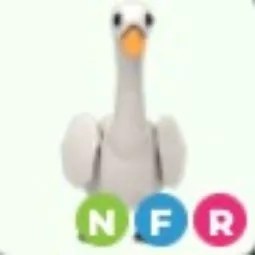 Swan NFR