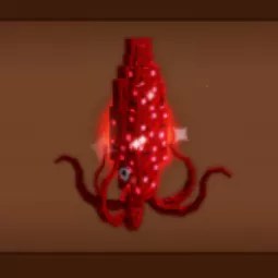Huge Ruby Squid 4kg Base Age 1 2