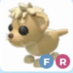 FR Lion Cub Adm