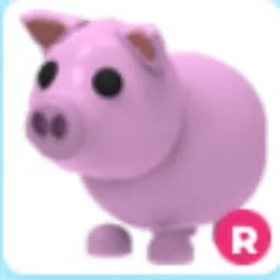 R Pig