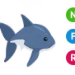 Shark NFR
