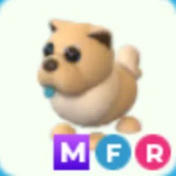 MFR Tan Chow