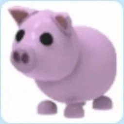 Pig Adm