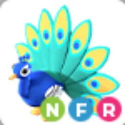 NFR Peacock