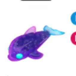 Glormy Dolphin FR