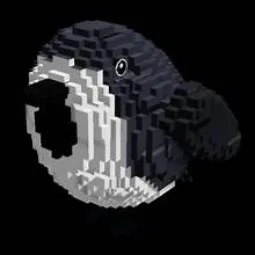 Birb