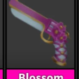 Blossom