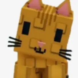 Orange Tabby