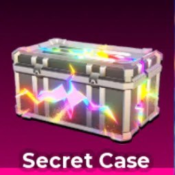 Secret Case X10