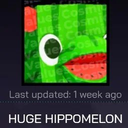 Huge Hippomelon