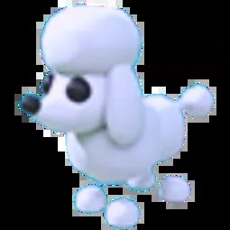 Poodle MR