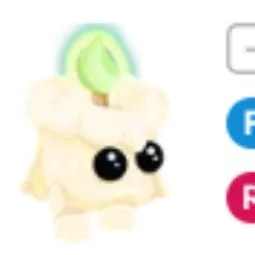 Cuddly Candle FR