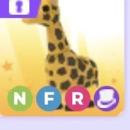 Giraffe NFR