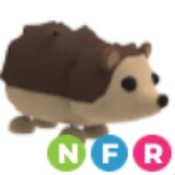 NFR Hedgehog