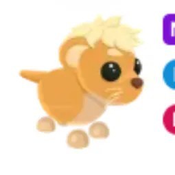 Lion Cub MFR