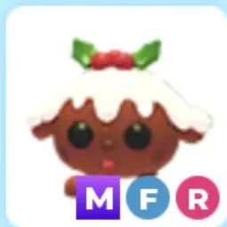 MFR Christmas Pudding Pup Adm