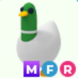 MFR Silly Duck