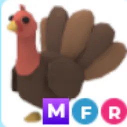 MFR Turkey