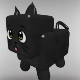 Black Cat