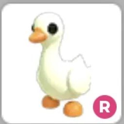R Goose