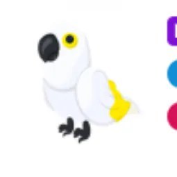 White Amazon MFR