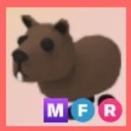 MFR Capybara