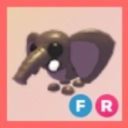 FR Bush Elephant