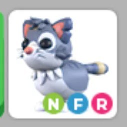 NFR Alley Cat