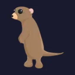 NFR Meerkat