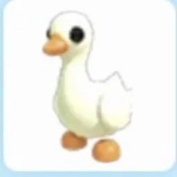 Goose Adm