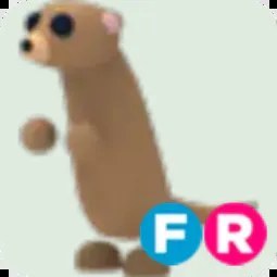 Meerkat FR