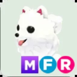 MFR Samoyed