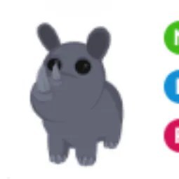 Rhino NFR
