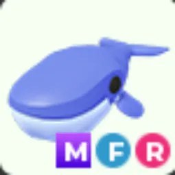 Blue Whale MFR