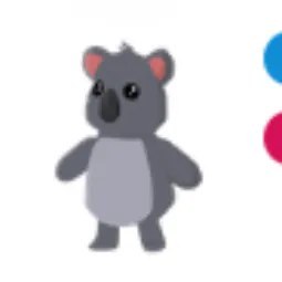 Koala FR
