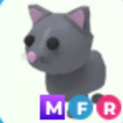 Cat MFR