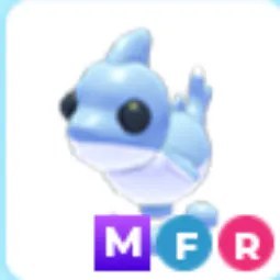 MFR Shark Puppy