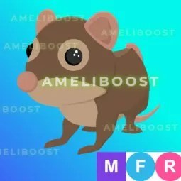 Shrew MFR