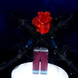 Dual Shadow Mirage