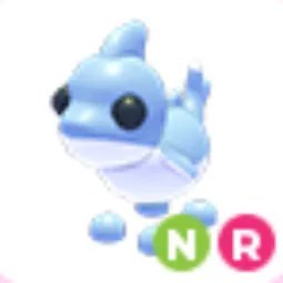 NR Shark Puppy