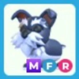 Mini Schnauzer MFR
