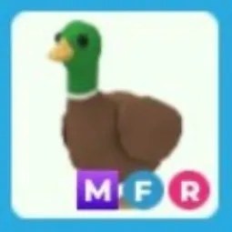 Drake MFR