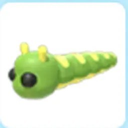 Caterpillar Adm
