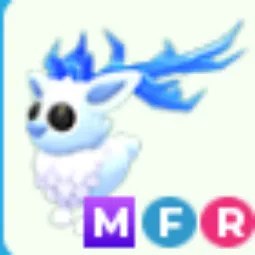 MFR Winter Buck