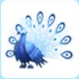 Moonbeam Peacock